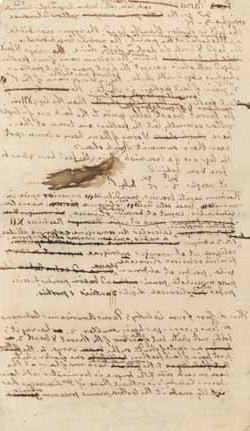 og体育平台鸟类的笔记，由托马斯·杰斐逊编著 